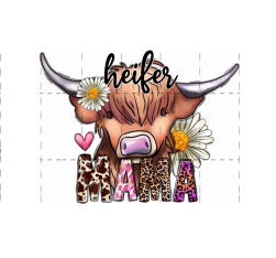 Dessins Animes - STK-6727