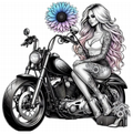 Promo - STK-13031