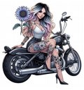 Promo - STK-13023
