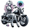 Promo - STK-13028