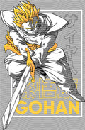 Manga - STK-2547