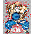 dragonballZ - STK-11582