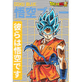 dragonballZ - STK-11589