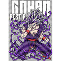 dragonballZ - STK-11598