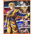 dragonballZ - STK-11600