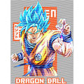 dragonballZ - STK-11607