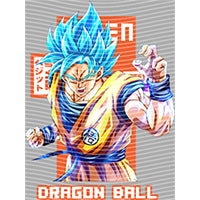dragonballZ - STK-11607