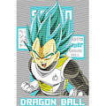 dragonballZ - STK-11611