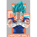 dragonballZ - STK-11617