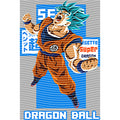 dragonballZ - STK-11618