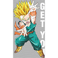 dragonballZ - STK-11620