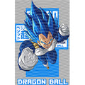 dragonballZ - STK-11621