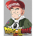 dragonballZ - STK-11635