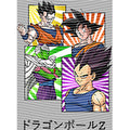 dragonballZ - STK-11636
