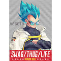 dragonballZ - STK-11646