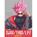 dragonballZ - STK-11650