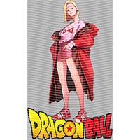 dragonballZ - STK-11665
