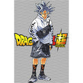 dragonballZ - STK-11667