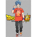 dragonballZ - STK-11674
