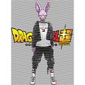 dragonballZ - STK-11679