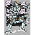 dragonballZ - STK-11697