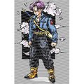 dragonballZ - STK-11702