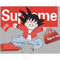 dragonballZ - STK-11743