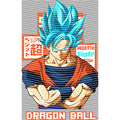 dragonballZ - STK-11759