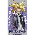 dragonballZ - STK-11768