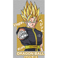 dragonballZ - STK-11776