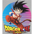 dragonballZ - STK-11780