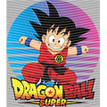 dragonballZ - STK-11786