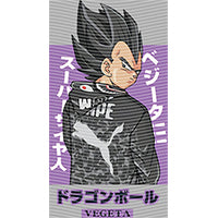 dragonballZ - STK-11791