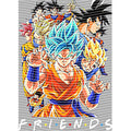 dragonballZ - STK-11813