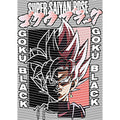 dragonballZ - STK-11824