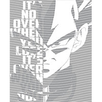 dragonballZ - STK-11828