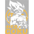 dragonballZ - STK-11829