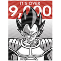 dragonballZ - STK-11834