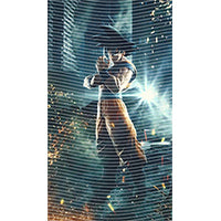 dragonballZ - STK-11851