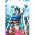dragonballZ - STK-11858