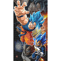 dragonballZ - STK-11859