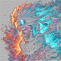 dragonballZ - STK-11877