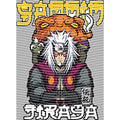 dragonballZ - STK-11923