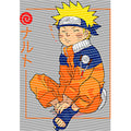 dragonballZ - STK-11939
