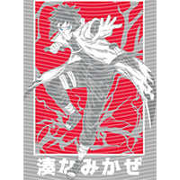 dragonballZ - STK-11948