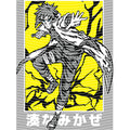dragonballZ - STK-11960