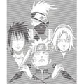 dragonballZ - STK-11966