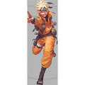 dragonballZ - STK-11998