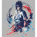 dragonballZ - STK-12167