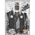 dragonballZ - STK-12213